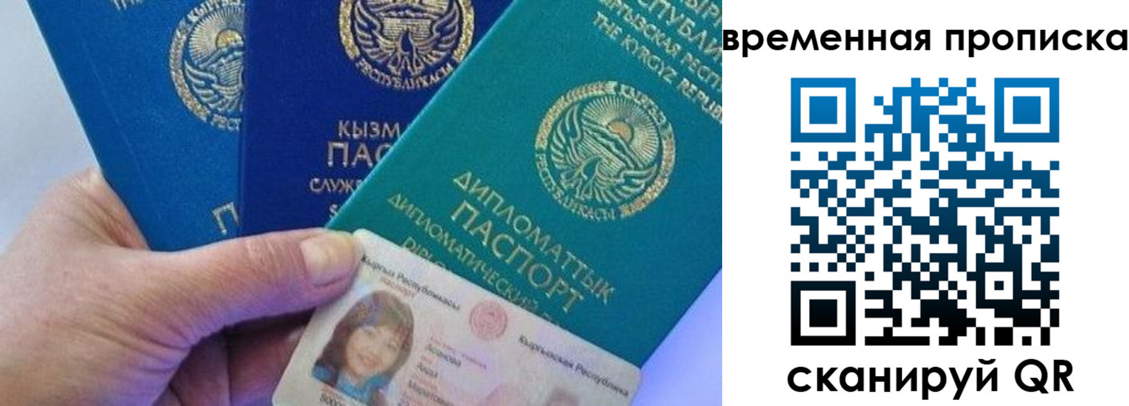 прописка поиск в Тольятти